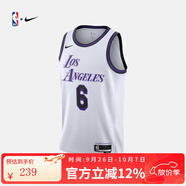 耐克耐克NBA官方-湖人詹姆斯男速干夏季運動球衣籃球服背心DO9597-101 湖人隊/詹姆斯 2XL