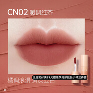 澳蘭黛（AOCILENDA）準(zhǔn)孕婦口紅媽媽啞光唇泥霧感唇膏學(xué)生唇妝彩妝化妝品潤(rùn)唇彩妝打底 CN02-暖調(diào)紅茶