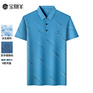 寶財羊中老年爸爸夏季短袖t恤新款夏裝POLO衫中年男士冰絲上衣薄 52318湖藍色 M 170【建議120-135斤】