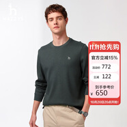 哈吉斯（HAZZYS）男裝 2025長(zhǎng)袖T恤ABTZE0CAX67 深灰色CC M（170/92A46）