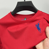 POLO SPORT保羅冰絲短袖男圓領(lǐng)夏季絲光棉刺繡夏季薄款半袖無(wú)領(lǐng)體恤紅色t恤 D6842紅色 M