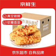 京鮮生云南花糯小玉米3斤 精選小花糯甜糯玉米棒 新鮮蔬菜 源頭直發(fā)包郵