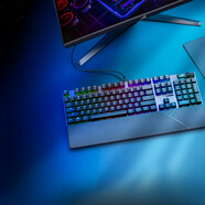 ROG游俠2 NX 機械鍵盤(pán) 有線(xiàn)電競游戲鍵盤(pán) RGB背光 鍵線(xiàn)分離 直覺(jué)觸控 隱私鍵 104鍵機械鍵盤(pán) 雪武白軸 ABS 帶掌托