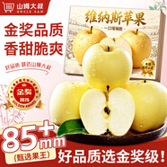 山姆大叔維納斯黃金蘋(píng)果水果當季山東蘋(píng)果煙臺蘋(píng)果冰糖心時(shí)令蘋(píng)果水果禮盒 【升級黃金甜】甄選果 | 單果75-80mm 5斤裝【80%選擇-超值推薦】?jì)?.5*