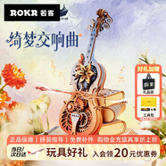 若客（ROKR）綺夢(mèng)大提琴 八音盒音樂(lè )盒積木diy手工拼圖拼裝模型玩具生日禮物
