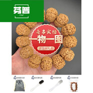 芬普胖東來(lái)品質(zhì)金剛菩提梅花樁一物一圖蜂王梅花雙龍矮樁爆肉尼泊爾大 A61477五瓣粗筋爆肉20mm43