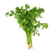 帶根香菜100g