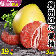 夢(mèng)茜兒紅心蜜柚 9斤梅州柚子甜蜜新鮮廣東正宗老樹(shù)沙田水果客家特產(chǎn) 9-9.5斤 網(wǎng)袋裝【2-4顆】A級品質(zhì)果  當天現摘 紅心蜜柚