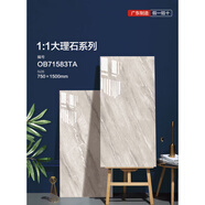 廣東佛山瓷磚750X1500大地板光面地磚客廳防滑全地磚墻磚耐磨 71583 750x1500