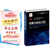 化工過(guò)程強化關(guān)鍵技術(shù)叢書(shū)--超重力反應工程