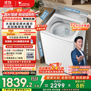 小天鵝（LittleSwan）波輪洗衣機全自動 12公斤大容量 小烏梅輕奢版【TB12VE20DW】水魔方防纏繞 家電國家補貼20%