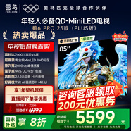 FFALCON雷鳥電視 85鶴6 PRO 25款（PLUS版） 85英寸 QD-MiniLED 高階VA 家電國家補貼電視85S595C Pro 85英寸 無開機廣告 85S595C Pro