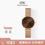 丹尼爾惠靈頓（DanielWellington）DW手女表 全新配色鋼帶女士手表 時尚歐美表七夕禮物DW00100476