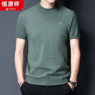恒源祥男裝半袖羊毛男秋冬季羊絨針織t恤短袖毛衣半高領(lǐng)大碼打底衫 8818花綠 190/100A