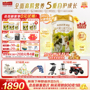 海普諾凱1897荷致荷蘭優(yōu)質(zhì)奶源較大嬰兒配方奶粉2段(6-12月齡)860g*6罐