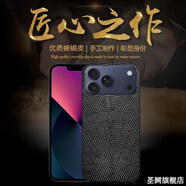 圣鱷【天然蜥蜴皮】適用蘋(píng)果17promax手機殼精美蜥蜴皮iphone16promax高端商務(wù)15pro全包防摔保護套 精美蜥蜴皮【優(yōu)雅黑】 蘋(píng)果17promax