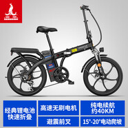 溫氏鳳凰;WEN＇S PHOENIX鳳凰20寸折疊鋰電池電動腳踏車男女可攜式碟煞電動車代步代 黑色一體輪10AH電動續(xù)航 48V0Ah