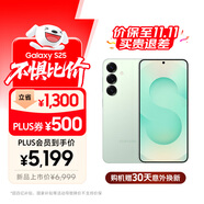 三星【價保至11.11】S25 512GB國家補貼 超擬人AI助理 驍龍8至尊版 AI拍照 翻譯手機 游戲手機 清霜綠