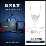 秦福炫純銀十二花神山茶花銀項鏈玉髓鎖骨鏈感輕奢小眾女款2026 [十二花神項鏈+手鏈套裝]默認發(fā)