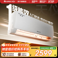 格力（GREE）空調(diào) 大1匹/1.5匹 天儀 新一級能效  變頻冷暖自清潔 臥室空調(diào)掛機(jī) 家電國家補(bǔ)貼 以舊換新 1.5匹 一級能效 天儀掛機(jī)