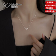 范嘉倫（VanCalen）銀項(xiàng)鏈女簡(jiǎn)約銀線條項(xiàng)鏈女小眾高級(jí)感輕奢鎖骨鏈夏 線條項(xiàng)鏈+玫瑰盒