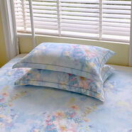 純棉枕頭套一對(duì)裝家用100全棉枕套宿舍單個(gè)枕芯內(nèi)膽套男48cmx74cm 玉蝶逐香 48cmx74cm枕套一對(duì)