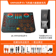 JBL直播設備全套裝電腦聲卡唱歌手機主播k歌錄音麥克風(fēng) JBL聲卡+飛利浦DLM9315C黑色【直播K歌套 標配
