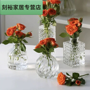 法式復(fù)古浮雕玻璃迷你花瓶ins鮮花透明水培插花桌面裝飾擺一個(gè) 精美四件-長(zhǎng)鉆+方形鉆+美少