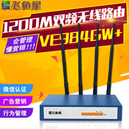 三棲虎定制VOLANS飛魚(yú)星 VE984W大功率企業(yè)級無(wú)線(xiàn)路由器穿墻王千 墻王千兆路