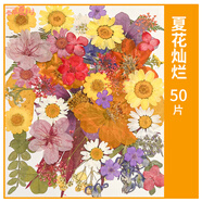 大圣返校禮物天然植物壓干花書(shū)簽DIY材料葉子手工膠水貼紙標本塑料封條 【夏花燦爛】/干花包50片