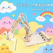 迪普爾 科學(xué)實(shí)驗套裝木質(zhì)液壓機械臂科技小制作小學(xué)生兒童手工拼裝玩具