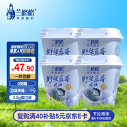 蘭格格 草原酸奶 野生藍莓300g*4杯0蔗糖酸奶 產(chǎn)地烏蘭察布源頭直發(fā)