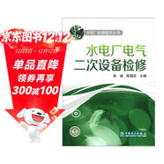 水電廠(chǎng)檢修技術(shù)叢書(shū)：水電廠(chǎng)電氣二次設備檢修圖書(shū)書(shū)香節