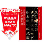 九成宮醴泉銘(歷代書(shū)法碑帖導臨教程)