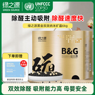綠之源 黑加金納米礦晶6000g新房裝修吸去除甲醛清除劑活性炭包室內