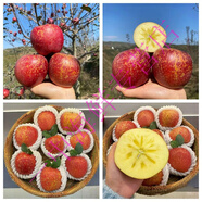大涼山丑蘋(píng)果 正宗冰糖心蘋(píng)果紅富士脆甜當季新鮮水果批發(fā)整箱 老農【十年老樹(shù)果】脆甜丑蘋(píng)果 實(shí)惠好吃【帶箱9-10斤大果】品質(zhì)不打折