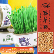 壽禾 貓草種子小麥苗土培罐頭盆栽種植貓零食 貓草種子罐頭 3罐裝 