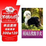 英國古代牧羊犬：喜劇明星