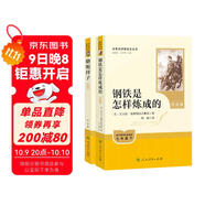 駱駝祥子+鋼鐵是怎樣煉成的（升級版） 人教版名著(zhù)閱讀課程化叢書(shū) 七年級下套裝（共2冊）與25春新版初中語(yǔ)文教材配套使用（含微課，從教學(xué)角度講解名著(zhù)；含閱讀筆記本，提供測評指導幫助提升整本書(shū)閱讀能力）