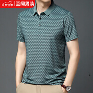 儷韻小屋（LiYunHouSe）爸爸夏裝短袖T恤中老年寬松條紋冰絲polo衫男士夏季爺爺裝上衣男 Q512綠色冰絲/透氣/速干 2XL 180148-165斤