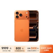 Apple/蘋(píng)果  iPhone 17 Pro Max 256GB 星宇橙色 支持移動(dòng)聯(lián)通電信5G 雙卡雙待手機 MG044CH/A*企業(yè)專(zhuān)享