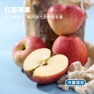 每天水果優(yōu)選云南昭通高原紅露蘋(píng)果 當季新鮮應季鮮果水果整箱 70mm-79mm_凈重2.5斤 1罐_箱