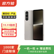 索尼 Xperia 1 V 二手手機(jī) 顏色內(nèi)存參考質(zhì)檢報(bào)告 內(nèi)存參考質(zhì)檢報(bào)告