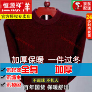 恒源祥2025秋冬新款羊毛衫男士保暖內(nèi)穿毛衣加厚半高領(lǐng)針織打底羊毛絨衫 酒紅-圓/領(lǐng) 加厚 XL 新l款品175建議135-15