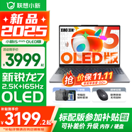 聯(lián)想小新15 2025系列 活動(dòng)補(bǔ)貼 金屬超輕薄筆記本電腦 學(xué)生辦公設(shè)計(jì)游戲本 八核十六線程銳龍R7-8745HS 16G 1TB 升級(jí)【OLED版 2.5K屏】 高清護(hù)眼屏 DC調(diào)光 無(wú)屏閃