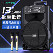 索愛(ài)（soaiy）T81廣場(chǎng)舞音響大功率低音炮移動(dòng)戶(hù)外K歌藍牙拉桿音箱擴音器無(wú)線(xiàn)話(huà)筒攤擺攤喇叭升級款【雙麥克風(fēng)】