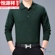 恒源祥中老年爸爸裝春秋長(cháng)袖t恤男口袋翻領(lǐng)PoloI衫羊毛針織體恤大牌 8807 綠色 165