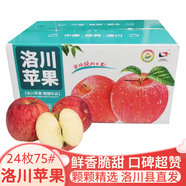 洛川蘋果陜西延安特產(chǎn)紅富士時令蘋果水果禮盒送蘋果生鮮新鮮脆甜整箱批發(fā) 24個75mm 優(yōu)選果 彩箱裝