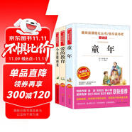 小英雄雨來 童年 愛的教育/六年級(jí)上冊(cè)快樂讀書吧文學(xué)名著閱讀兒童文學(xué)共650頁（套裝共3冊(cè)）