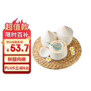 京鮮生泰國進(jìn)口椰青 9個(gè)裝 大果單果900g+ 水果 送禮 源頭直發(fā)包郵 